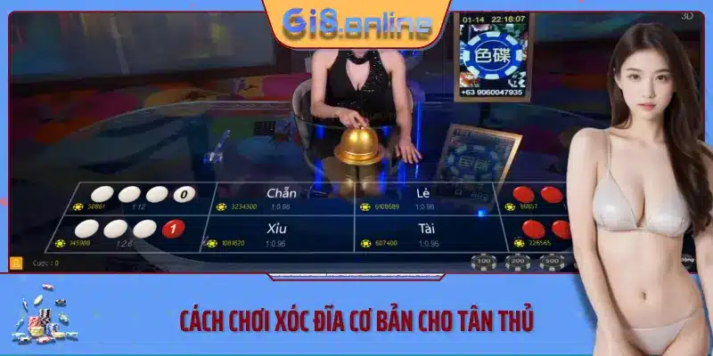 Cách chơi xóc đĩa cơ bản cho tân thủ Gi88