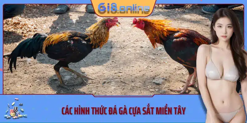 Các hình thức đá gà cựa sắt miền tây