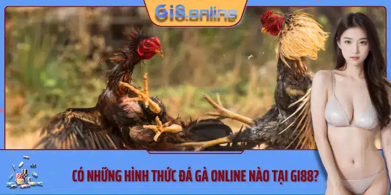 Có những hình thức đá gà online nào tại Gi88?