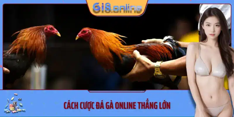 Cách cược đá gà online thắng lớn